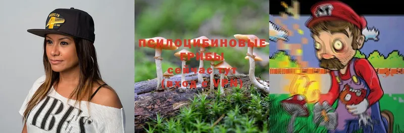 Галлюциногенные грибы Psilocybe  наркота  Билибино 